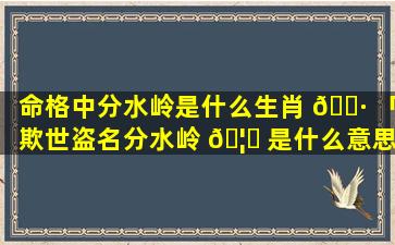 命格中分水岭是什么生肖 🕷 「欺世盗名分水岭 🦍 是什么意思生肖」